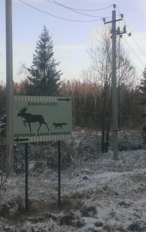 Отдельно стоящие