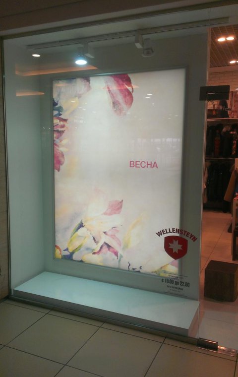 Витрина